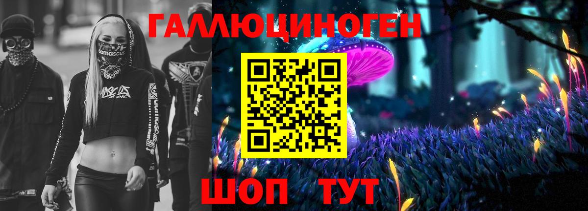 Псилоцибиновые грибы прущие грибы Елец